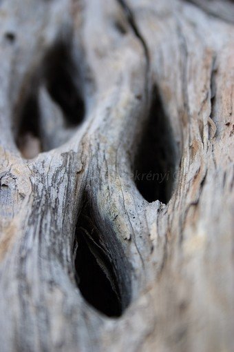 Szardínia képek  - 121.jpg