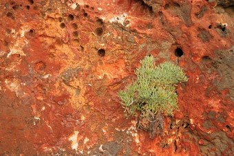 Szardínia képek  - 122.jpg