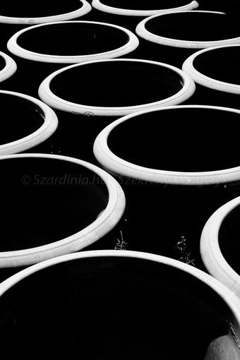 Szardínia képek  - 126.jpg