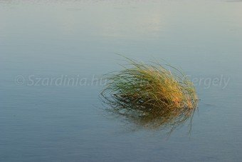 Szardínia képek  - 130.jpg