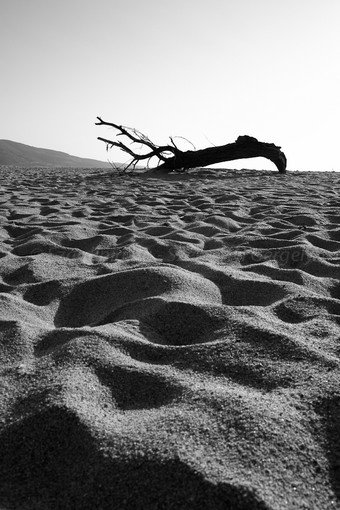 Szardínia képek  - 131.jpg