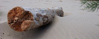 Szardínia képek  - 142.jpg