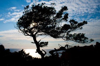 Szardínia képek  - 19.jpg