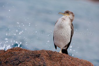 Szardínia képek  - 20.jpg