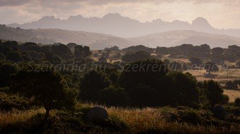 Szardínia képek  - 26.jpg