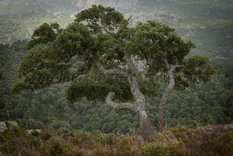 Szardínia képek  - 28.jpg