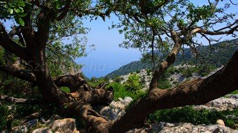 Szardínia képek  - 36.jpg