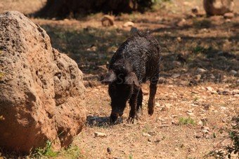 Szardínia képek  - 37.jpg