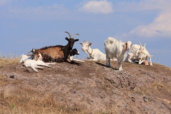 Szardínia képek  - 41.jpg