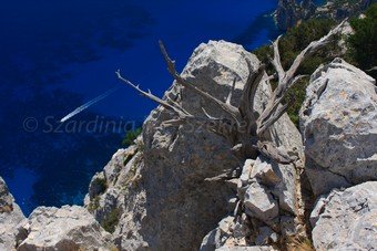 Szardínia képek  - 56.jpg