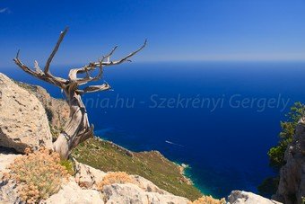 Szardínia képek  - 57.jpg