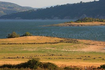 Szardínia képek  - 92.jpg